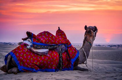 4 Days Jodhpur Jaisalmer Tour